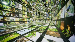 'Machines are collaborators' at this new museum of AI art