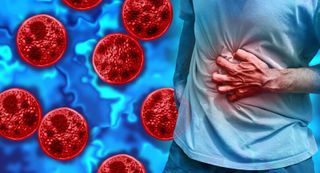 What Cyclospora does inside the gut and how it gets there