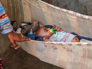 Why is the rate of premature births so high in this community?