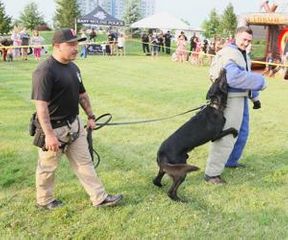Quad-Cities National Night Out events draw hundreds to interact with first responders