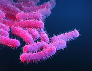 A new vaccine could vanquish a major cause of deadly diarrheal disease