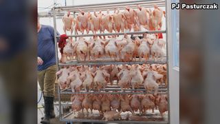  New Iowa County poultry processor fills gap for Eastern Iowa farmers
