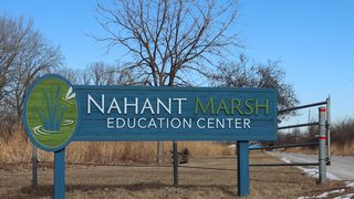 Students will present Nahant Marsh research at public session