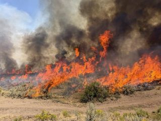 Firefighting helicopter crashes in Utah, 2 people on board