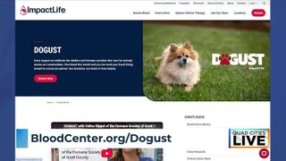  ‘Dogust’ campaign connects ImpactLife blood donation to support for local animal shelters