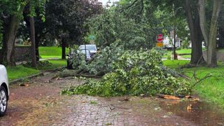 See damage in the QCs from morning thunderstorms