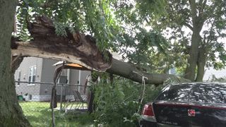  Rock Island woman hit by tree damage for 3rd time