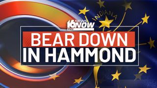  Chicago Bears say Hammond is ‘sole focus’ for new stadium