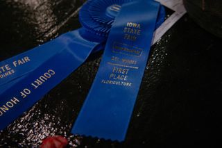 Meet some of the most decorated state fair competitors