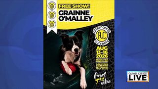  Purina’s Incredible Dog Team to perform free shows at Alternating Currents