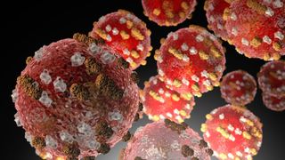  Iowa measles outbreak grows to 17 cases, Illinois 5, health officials say