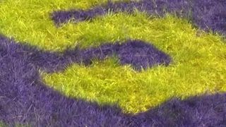  ‘We are heartbroken’: Sherrard High School cancels rest of 2026 varsity football season