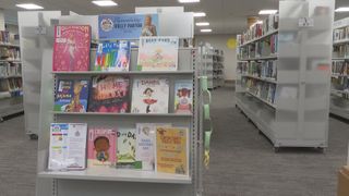  DeWitt library honors Dolly Parton’s legacy with book display