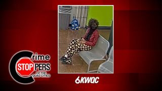  Crime Stoppers: Person wanted in connection with vehicle theft, crashes