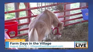  Village of East Davenport to host annual Farm Days weekend