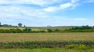 Harvest season nears in Iowa; Farm Rescue taking applications