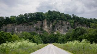  Judge orders federal logging project halted in Shawnee National Forest
