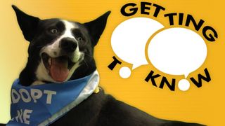 Getting to Know Patti McRae and Cookie