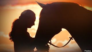 Sundance for Our Soldiers will bring horses to RI Arsenal Suicide Stand Down