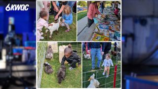  Free Petting Zoo and Book Bash returns to Longview Park in Rock Island