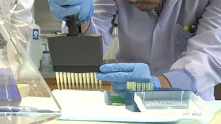 New ‘breakthrough’ drug approved to treat pancreatic cancer