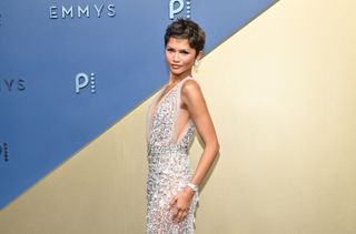 See the Emmys 2026 red carpet looks