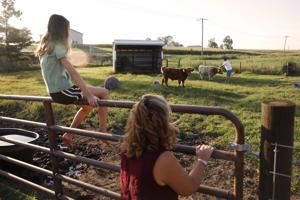 Gretchen at Work: McCarty's Corner Farm is a place for animals to roam and play