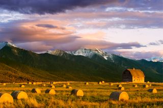 Geopolitics and grain don't mix, say these Montana farmers