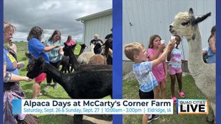  McCarty’s Corner Farm to host 7th National Alpaca Farm Days Sept. 26-27