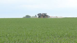  Outsider farm owners are an issue in the governor’s race. Here’s what experts say.