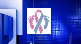 Walk for Angel Babies raises funds, awareness of pregnancy loss
