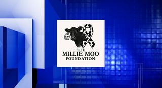 Millie Moo Foundation Walk raises pediatric cancer awareness