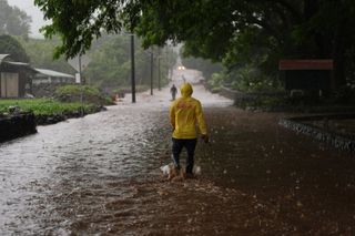 Mexico's Baja California braces for Hurricane Polo as Hurricane Nolo threatens Hawaii