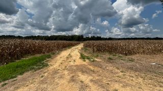  States, FTC secure settlement in suit against Corteva pesticide loyalty programs 