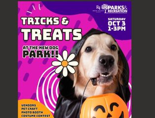 Free Tricks and Treats event offered for dogs, owners, in Rock Island park