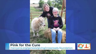  DeWitt’s ‘Pink for the Cure’ returns for 15th year to boost breast health awareness