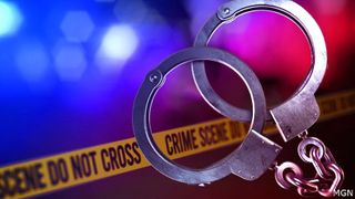  Hundreds of emaciated animals seized as 2 charged with livestock neglect in Marshall County
