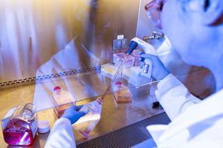Making gene-edited babies is illegal. This startup says it may be time to reconsider