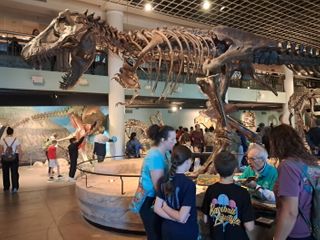 Just short of its 200th birthday, a landmark natural history museum shuts down