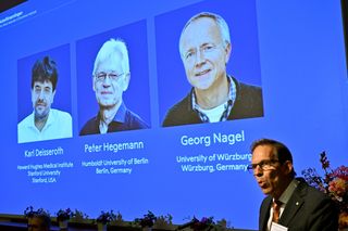 Nobel medicine prize goes to 3 scientists for research into brain activity