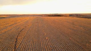 Pritzker orders diesel price relief for Illinois farmers, blames Trump policies