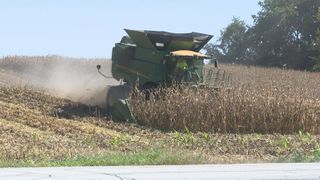  Rain delays, rising fuel costs slow corn harvest for Quad Cities area farmers