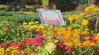  Keeping your green thumb through the fall and winter seasons