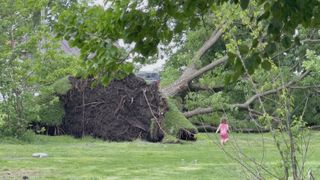  Trump administration denies Illinois’ request for disaster relief — again