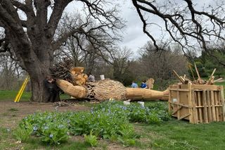 Public art has brought the river town of Clinton together
