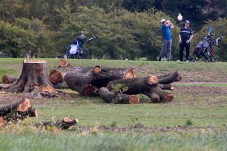 A judge blocks the government's tree-clearing spree at a municipal D.C. golf course