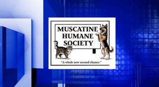 Muscatine Humane Society sees pet surrender increase