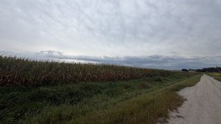  High diesel prices squeeze Iowa farmers during harvest