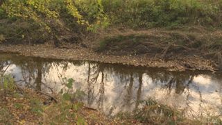  Davenport to reshape Goose Creek banks, add trails and signs