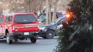 Driver dead after crashing into tree near Harrison Street in Davenport